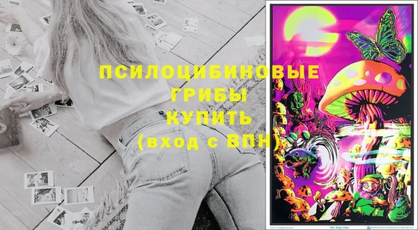 а пвп мука Алзамай