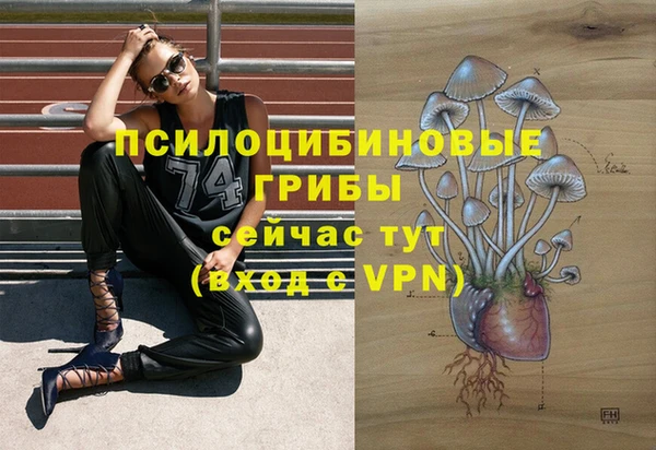 крисы Алексеевка